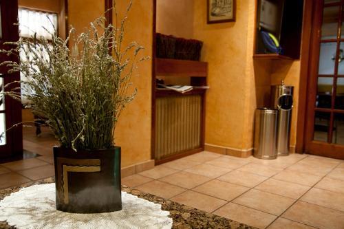 Hotel Ca L'Amagat Bagá Eksteriør billede